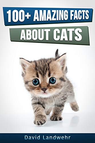 100 Plus Amazing Facts About Cats