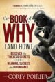 The Book of Why (and How): Discover the Timeless Secrets to Meaning, Success and Abundance