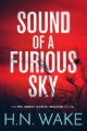 Sound of a Furious Sky: FBI Agent Domini Walker Book 1 (Dom Walker)