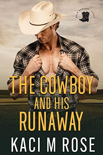 The Cowboy and His Runaway Western Romance
