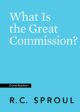 What Is the Great Commission? (Crucial Questions)