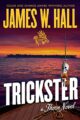 Trickster: (A Thorn Novel Book 16)