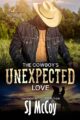 The Cowboy’s Unexpected Love: Wade and Sierra (MacFarland Ranch Book ...