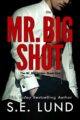 Mr. Big Shot: The Mr. Big Series: Book One