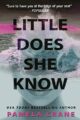 Little Does She Know: A twisty, humorous, refreshingly original mystery series (If Only She Knew Mystery Series Book 1)