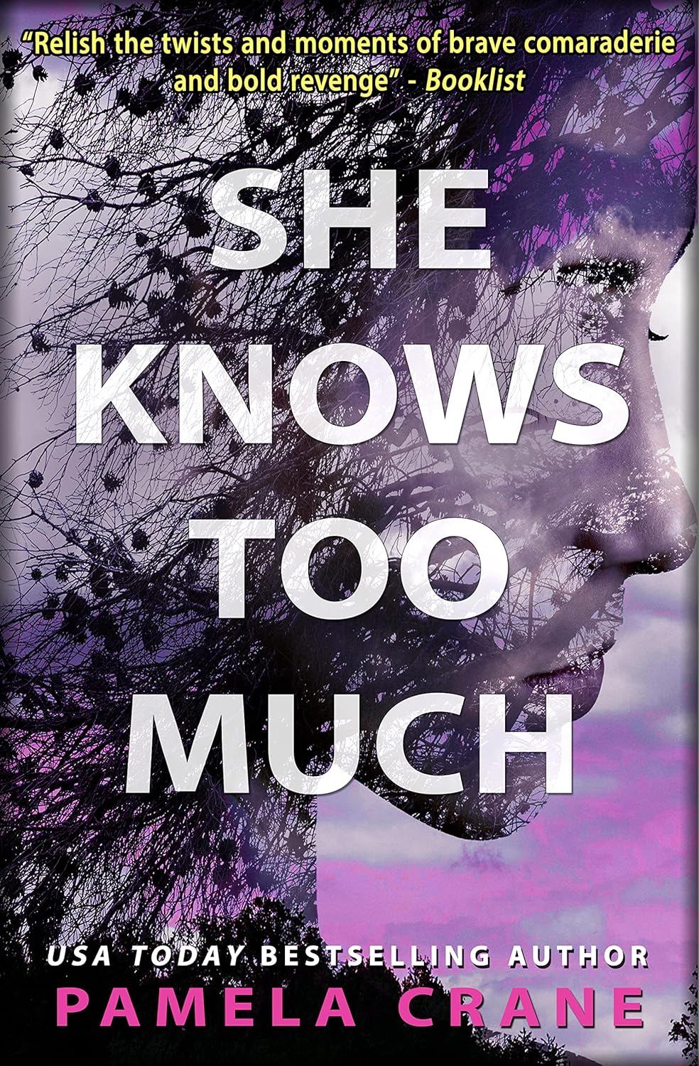 She Knows Too Much (If Only She Knew Mystery Series Book 3)