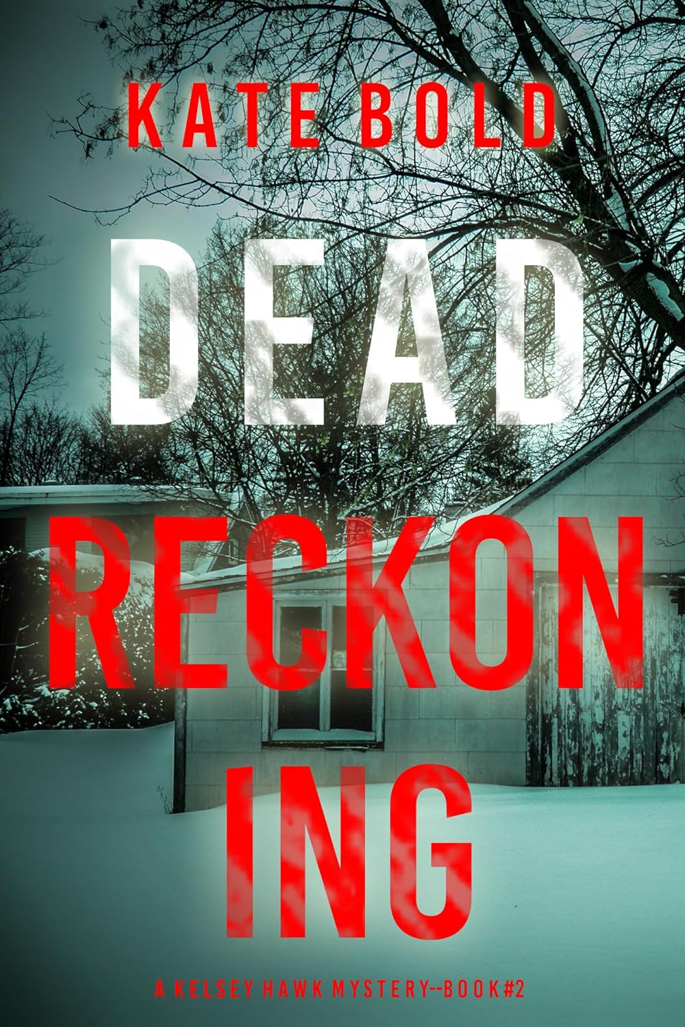 Dead Reckoning FBI Suspense Thriller by Bestselling Author Kate Bold