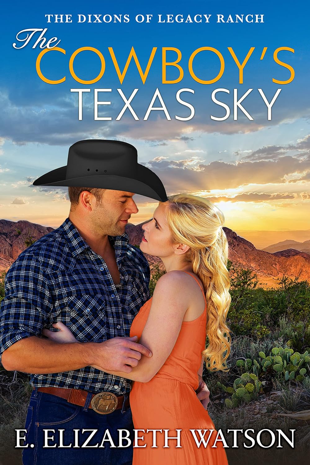 The Cowboys Texas Sky by Bestselling Author E Elizabeth Watson