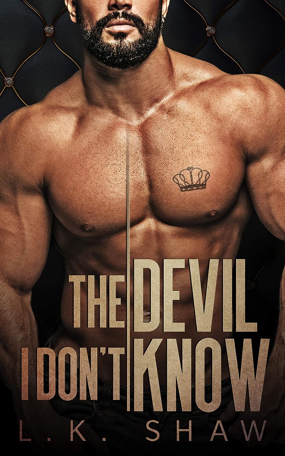 The Devil I Don’t Know An Arranged Marriage Mafia Romance by Bestselling Author LK Shaw