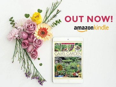 Published, What Now?