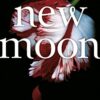 new-moon-the-twilight-saga-book photo