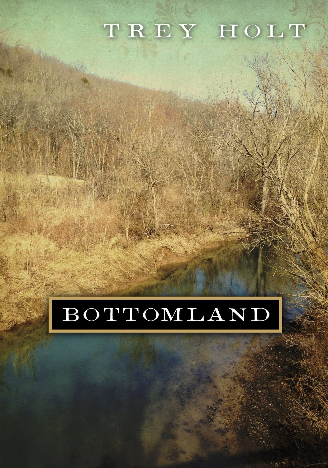 Bottomland: A Novel Based on the Murder of Rosa Mary Dean in Franklin, Tennessee by Trey Holt