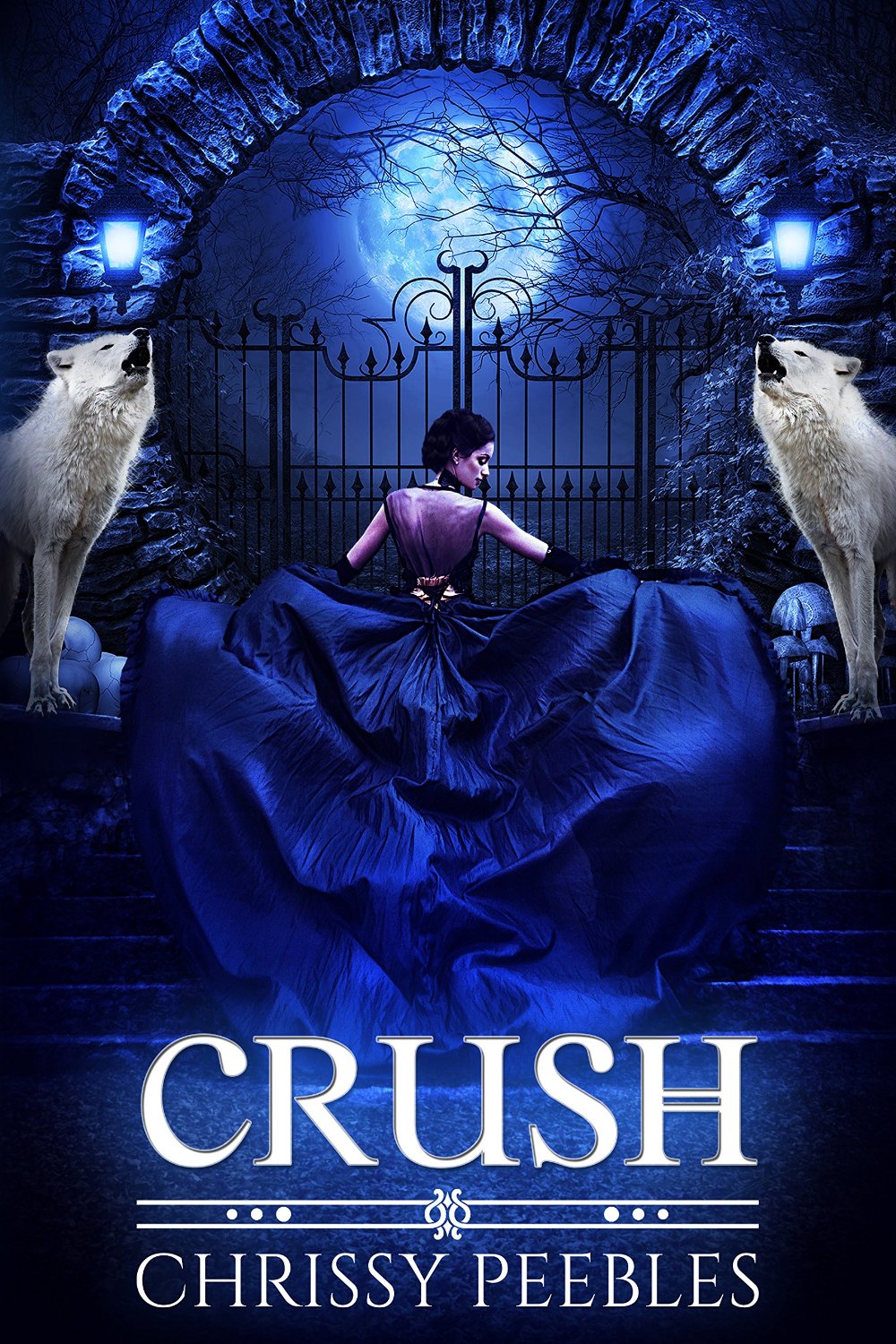 CRUSH (A Vampire & Paranormal Love Story) (The Crush Saga Book 1) by Chrissy Peebles