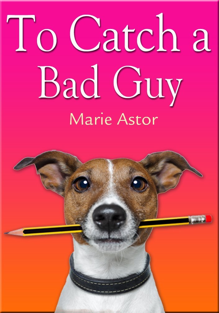 To Catch a Bad Guy (Janet Maple Series Book 1) by Marie Astor
